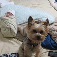 IMG_0458.JPG