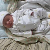 IMG_0461.JPG