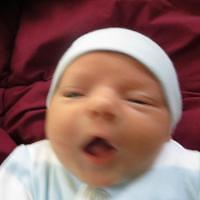 IMG_0474.JPG