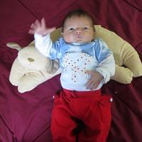 IMG_0542.JPG