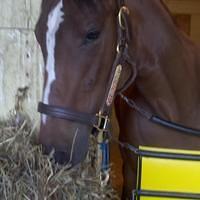 Gullo Barn at Belmont Park 2012-05-02