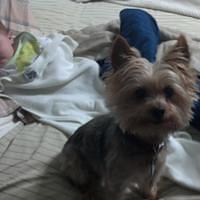 2012-07-13 09-28-13 373