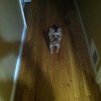 IMG 0436