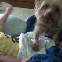 2012-08-11 08-51-50 912